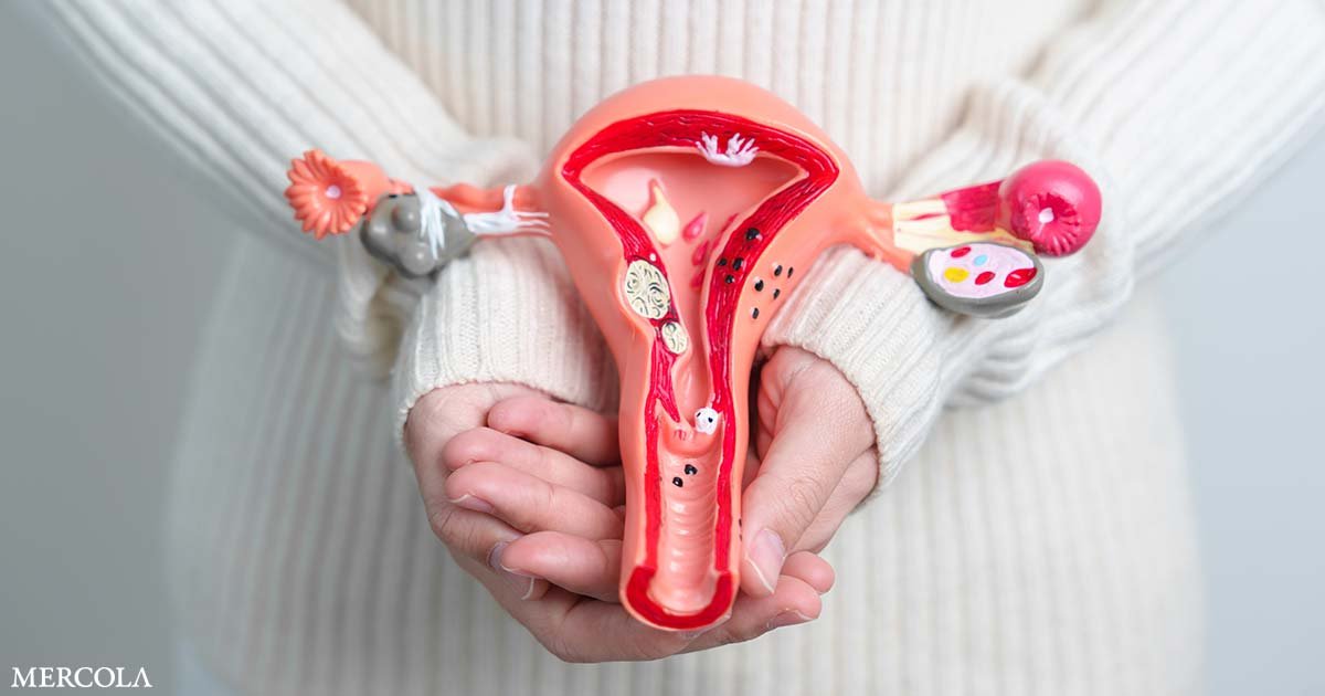 Study Finds Elevated Cardiovascular Risk After Early Hysterectomy